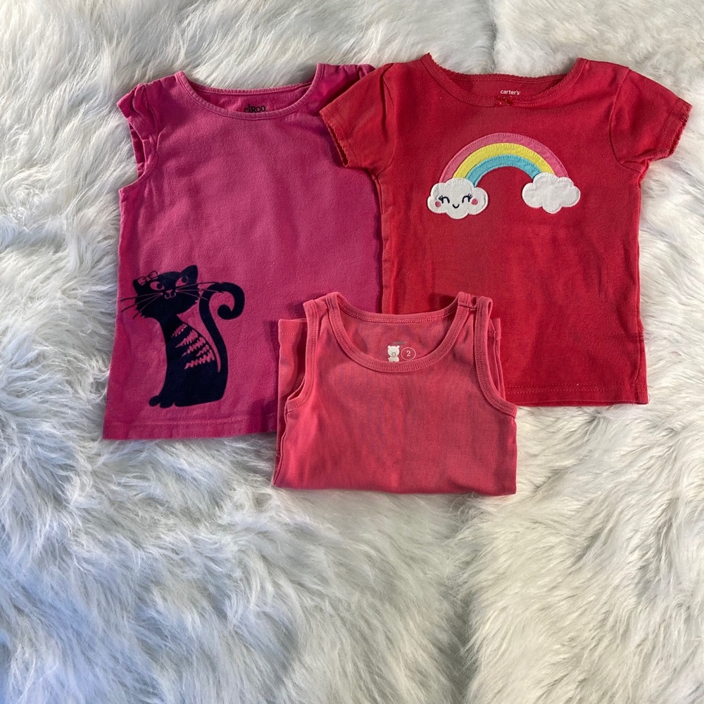Toddler Girl Tees Bundle Size 2T